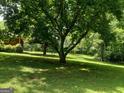 Expansive backyard with mature trees and green grass at 856 New Hope Rd, Fayetteville, GA 30214