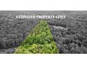 Aerial view of triangular wooded lot with estimated property lines, ideal for nature lovers at 135 Birdsong Ln, Fayetteville, GA 30215