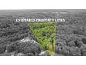 Aerial view of wooded lot with estimated property lines, showcasing land and potential homesite at 135 Birdsong Ln, Fayetteville, GA 30215