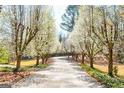 Picturesque driveway lined with blooming trees creates a stunning approach to the property at 2366 Battle Forest Sw Dr, Marietta, GA 30064