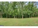 Expansive backyard with a lush lawn and mature trees, offering privacy and natural beauty at 170 Hidden Pines Drive, Covington, GA 30016