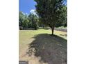 Expansive, private backyard enclosed by a wooden fence, offering ample space and mature trees at 3005 Ryan Rd, Locust Grove, GA 30248