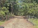 Long gravel driveway leading through a lush, wooded property at 152 Dana Dr, Fayetteville, GA 30215