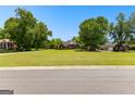 Picturesque neighborhood street with mature trees and well-maintained homes on large, grassy lots at 125 Lake Park Dr, Sharpsburg, GA 30277