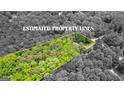 Aerial view of the property lines highlighting land with lush greenery at 145 Adams Ct, Fayetteville, GA 30214