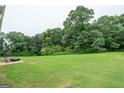 Spacious backyard with lush greenery, offering a private and serene outdoor space, perfect for relaxation or recreation at 115 Glen Echo Dr., Covington, GA 30016