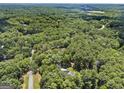 The aerial view shows a private, wooded homesite with lush, mature trees at 25 Highlands Way, Oxford, GA 30054