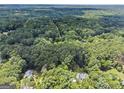 The aerial view highlights the lush, green surroundings and secluded setting at 25 Highlands Way, Oxford, GA 30054