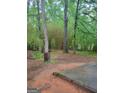 View of a backyard featuring bamboo, trees, an old barrel, and a concrete patio area at 106 Garden Trl, Stockbridge, GA 30281