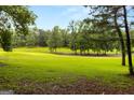 Picturesque backyard with expansive green space and mature trees, ideal for recreation and enjoying nature at 1014 Overlook Dr, Villa Rica, GA 30180