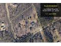 Aerial view of a home with a large lot, showcasing property boundaries and lush surrounding landscape at 100 Willow Wood Road, Social Circle, GA 30025
