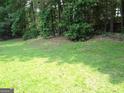 Expansive backyard featuring a lush green lawn, mature trees, and a serene, natural setting, great for relaxing at 2958 Mary Alice Trl, Loganville, GA 30052