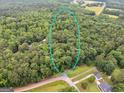 Beautiful aerial view of the neighborhood surrounded by lush greenery showing the area this property is in at 507 N Green Cir, Mcdonough, GA 30252