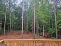 Wooded backyard view from the outdoor deck showcasing tall trees and natural landscape at 55 Etheridge Rd, Temple, GA 30179