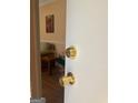 View of a home's entryway door opening to reveal living area, creating a welcoming first impression at 740 Pebble Blvd, Covington, GA 30016