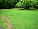 A big shade tree with lush green grass in the expansive backyard at 225 Long Creek Dr, Covington, GA 30016