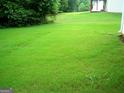 Expansive backyard featuring lush green grass at 225 Long Creek Dr, Covington, GA 30016