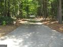 Long paved driveway through a canopy of trees at 304 Tunis Rd, Mcdonough, GA 30253
