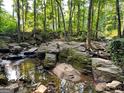 Natural creek bed flowing through wooded backyard at 2355 Brick Mill Ct, Duluth, GA 30096