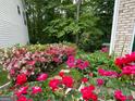Landscaped backyard features blooming roses, azaleas, and hydrangeas at 2355 Brick Mill Ct, Duluth, GA 30096