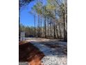 A beautiful treed lot awaiting a custom dream home in the Pinegate Community at 300 Bob Smith Rd, Sharpsburg, GA 30277
