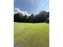 Expansive backyard with a vibrant green lawn, mature trees, and ample space for outdoor activities and relaxation at 1422 New Holland Cir, Mcdonough, GA 30252