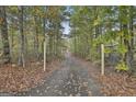 Private driveway winding through a canopy of trees, offering seclusion and a scenic approach to the property at 3530 Highway 81 W, Hampton, GA 30228