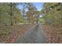 Long driveway leading to the brick home, offering a sense of privacy and seclusion surrounded by trees at 3530 Highway 81 W, Hampton, GA 30228