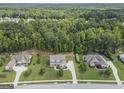 Aerial shot of suburban homes each with expansive lawns and mature trees on a sunny day at 185 Discovery Lake Dr, Fayetteville, GA 30215