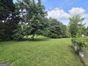 Expansive backyard with lush green grass and mature trees, providing a serene and private outdoor space at 165 Cedar Ridge Rd, Locust Grove, GA 30248