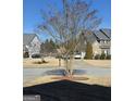 View of the front yard showing a tree and street view of neighborhood houses at 5725 Lake Windsor Pkwy, Buford, GA 30518