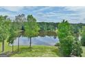 Scenic view of a tranquil pond surrounded by lush green trees and clear blue skies at 383 Beaumont Farms Dr, Sharpsburg, GA 30277