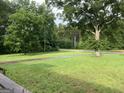 Expansive front yard with lush green grass, mature trees, and a view of the surrounding landscape at 276 Oakland Rd, Mcdonough, GA 30253