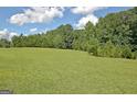 Expansive green lawn surrounded by lush trees, creating a private and serene environment at 460 Morgan Mill Rd, Brooks, GA 30205