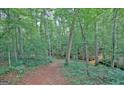 Picturesque wooded trail winding through lush greenery, ideal for nature walks and outdoor adventures at 460 Morgan Mill Rd, Brooks, GA 30205