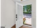 View of a white front door with decorative glass panel, welcoming natural light and outdoor scenery at 79 The Farm Rd, Mcdonough, GA 30252