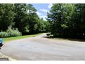View of the street leading up to the property, surrounded by lush greenery and mature trees at 25 Castlehill Ct, Covington, GA 30016