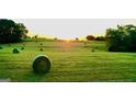 Scenic view of a field with round hay bales, illuminated by the warm glow of the setting sun at 360 Morgan Mill Rd, Brooks, GA 30205