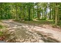 Serene gravel driveway surrounded by towering trees, leading to a secluded home at 351 Weldon Rd, Palmetto, GA 30268