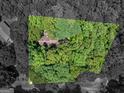An aerial view shows this house with an expansive, lush green property surrounded by mature trees at 25 Ridgeview Dr, Jonesboro, GA 30236