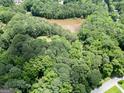 Aerial view showcasing a private pond surrounded by lush greenery on this secluded property at 6111 Old Monticello Se St, Covington, GA 30014