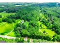 Stunning aerial view of estate nestled within lush green forest with long driveway at 301 East Highway 5, Roopville, GA 30170