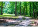 Scenic driveway winding through a verdant, wooded landscape leading to a secluded property at 301 East Highway 5, Roopville, GA 30170