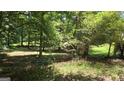 Image shows the land behind the house, filled with trees and grassy spots at 1448 Se Hillside Place, Conyers, GA 30094