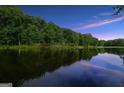 Scenic view of a serene lake surrounded by lush greenery, reflecting a tranquil sky at 123 Eva Ln, Stockbridge, GA 30281