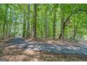 Scenic driveway winding through a lush, wooded area, offering privacy at 2400 White Pine Ln, Mansfield, GA 30055