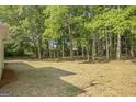 Image shows a very large backyard featuring beautiful mature trees and shade at 1834 Stroud Road, Mcdonough, GA 30252