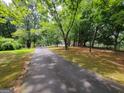 Long paved driveway lined with mature trees at 45 Surrey Chase Dr, Social Circle, GA 30025