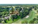 Beautiful house situated near a golf course and a luscious green forest at 110 Tamerlane, Peachtree City, GA 30269