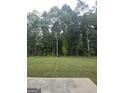 Expansive backyard offering a lush green space, perfect for recreation and relaxation at 160 Grafton St, Hampton, GA 30228